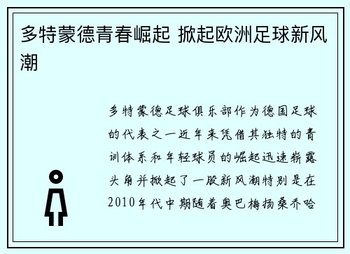 多特蒙德青春崛起 掀起欧洲足球新风潮